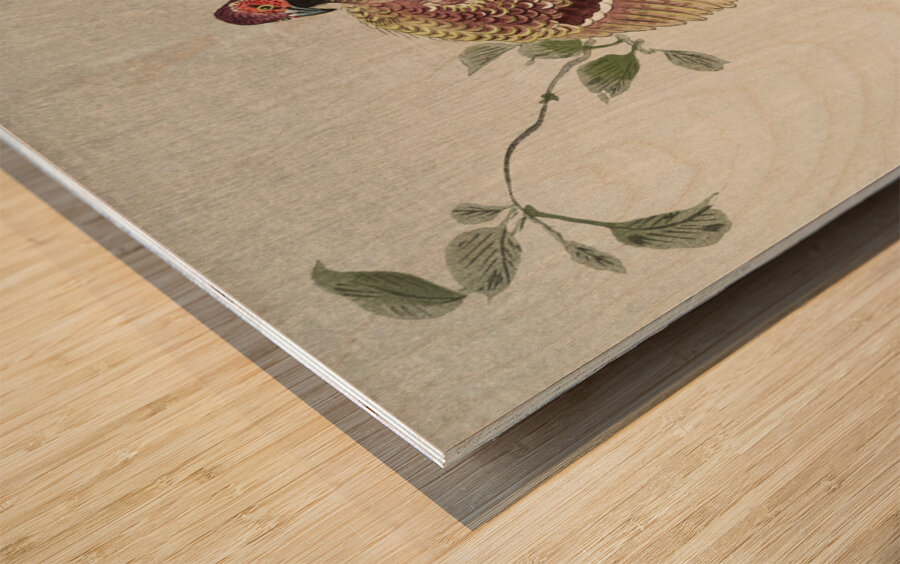 Copper pheasant 1900 - 1930 by Ohara Koson 1877-1945. Wood print