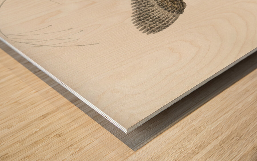 Flying quail 1900 - 1930 by Ohara Koson 1877-1945. Wood print