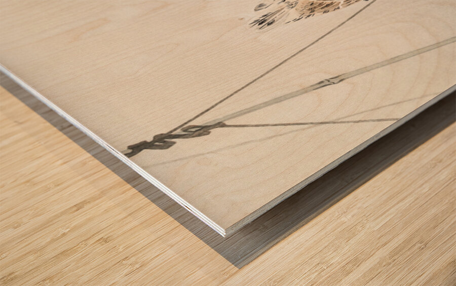 Ring sparrow on scarecrow 1900 - 1930 by Ohara Koson 1877-1945. Wood print