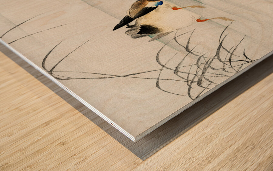 Mallard the head under water 1900 - 1930 by Ohara Koson 1877-1945. Wood print