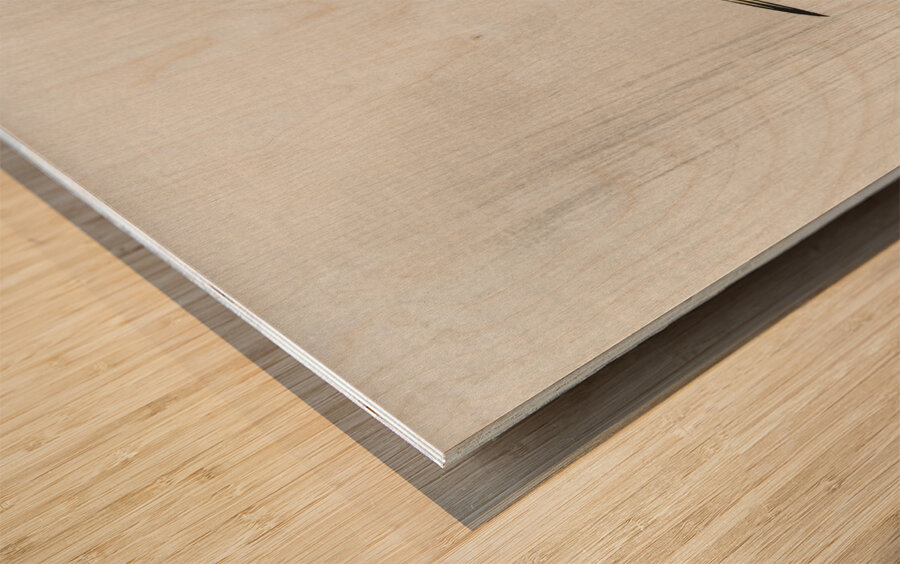 Egret in rain 1900 - 1930 by Ohara Koson 1877-1945. Wood print