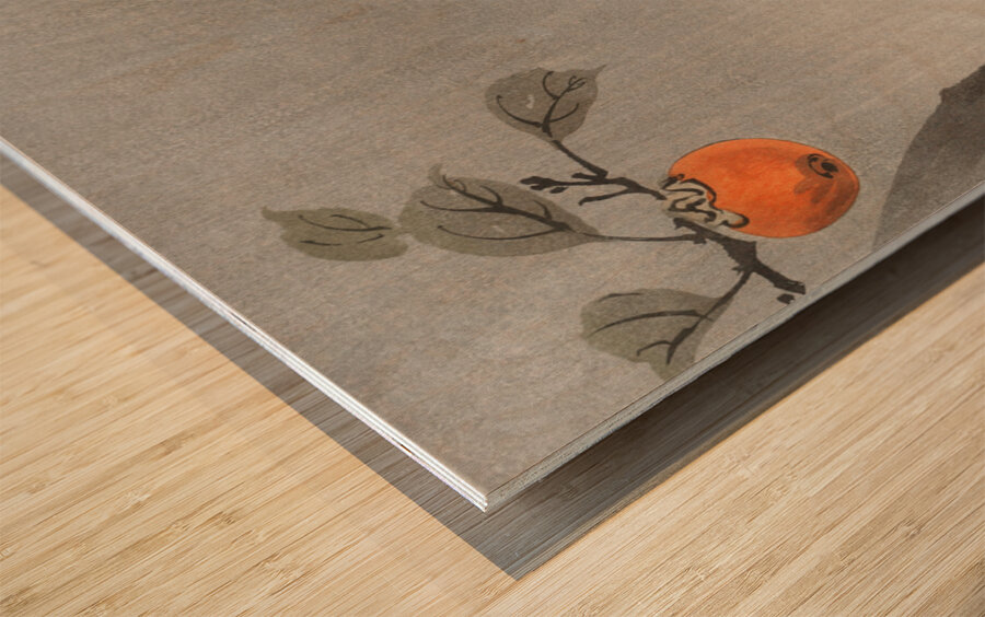 Monkey in cockatoo 1900 - 1930 by Ohara Koson 1877-1945. Wood print