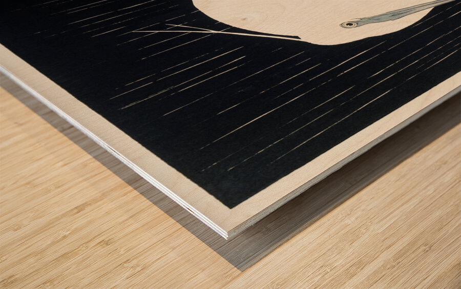 Egret in the rain 1925 - 1936 by Ohara Koson 1877-1945. Wood print