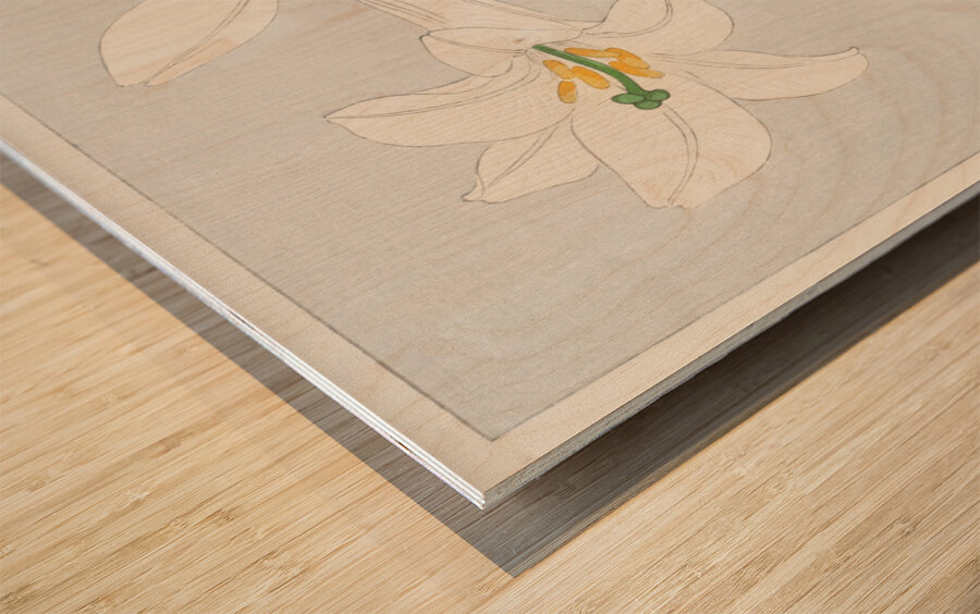 Lilies Ohara  1920 - 1930 by Ohara Koson 1877-1945. Wood print