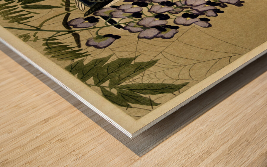 Flycatcher at wisteria 1900 - 1910 by Ohara Koson 1877-1945. Wood print