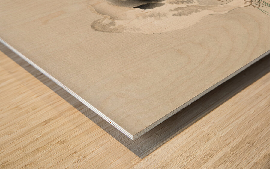 Young dog 1900 - 1930 by Ohara Koson 1877-1945. Wood print