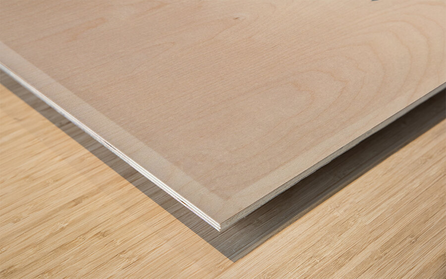 Iris flowers 1925 - 1936 by Ohara Koson 1877-1945. Wood print