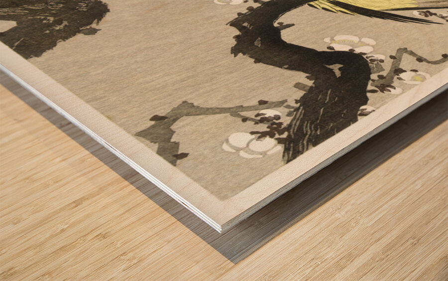 Chinese oriole on plum blossom branch 1900 - 1910 by Ohara Koson 1877-1945. Wood print