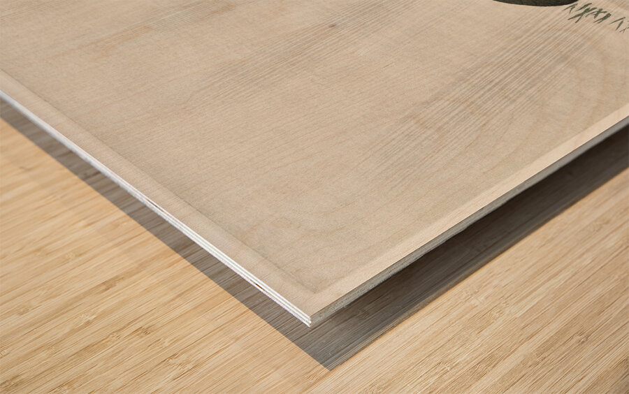 Frog on lotus leaf 1900 - 1930 by Ohara Koson 1877-1945. Wood print