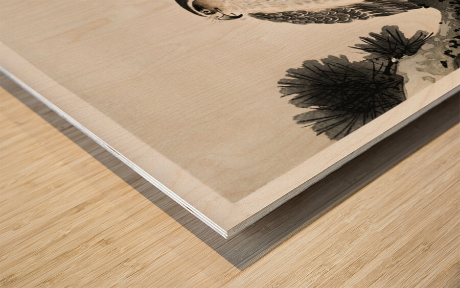 Hawk on pine branch 1900 - 1930 by Ohara Koson 1877-1945. Impression sur bois