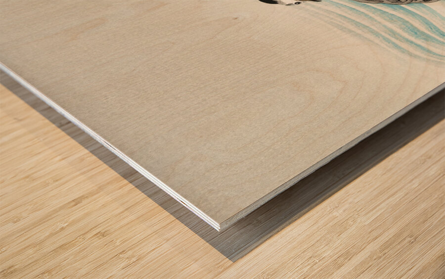 Large coot sandpipers 1900 - 1930 by Ohara Koson 1877-1945. Wood print