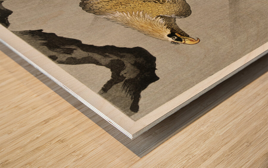 Eagle on branch 1900 - 1910 by Ohara Koson 1877-1945. Wood print