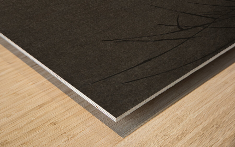 Two egrets in the reeds 1900 - 1930 by Ohara Koson 1877-1945. Wood print