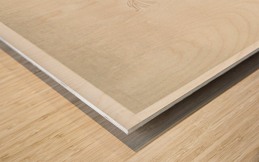 Grass and full moon 1900 - 1936 by Ohara Koson 1877-1945. Wood print