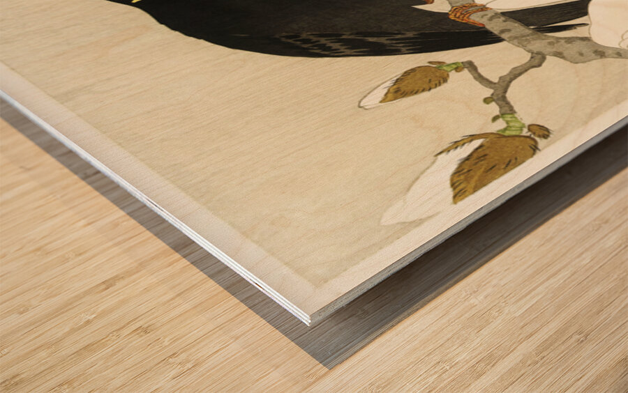 Myna on Magnolia Branch 1900 - 1910 by Ohara Koson 1877-1945. Wood print