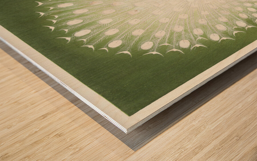 Peacock 1925 - 1936 by Ohara Koson 1877-1945. Wood print