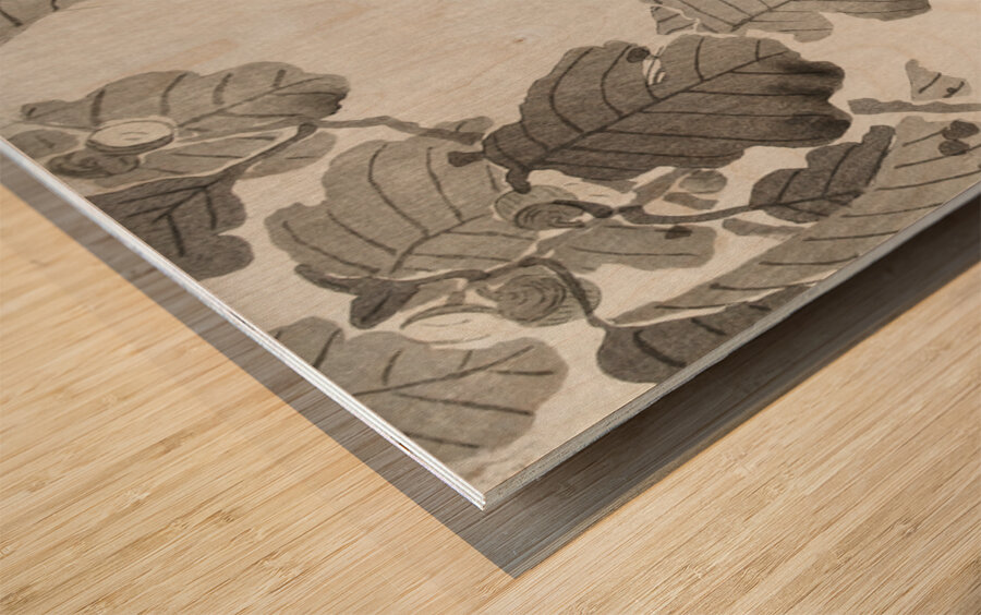 Jay on tree branch 1900 - 1910 by Ohara Koson 1877-1945. Wood print