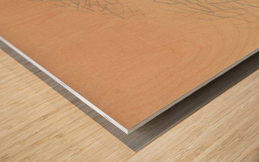 Two cranes 1925 - 1936 by Ohara Koson 1877-1945. Wood print