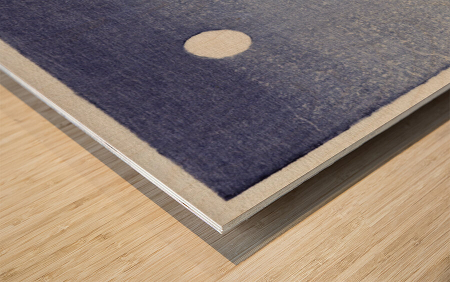 Three ducks in shallow water with reeds 1900 - 1930 by Ohara Koson 1877-1945. Wood print