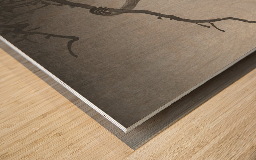 Monkey and reflection of the moon 1900 - 1936 by Ohara Koson 1877-1945. Wood print