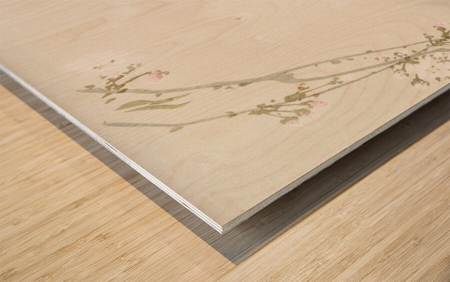 Couple pheasants and cherry blossom 1900 - 1936 by Ohara Koson 1877-1945. Wood print