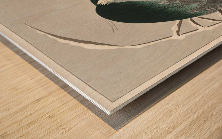 Heron in snow 1920 - 1930 by Ohara Koson 1877-1945. Wood print