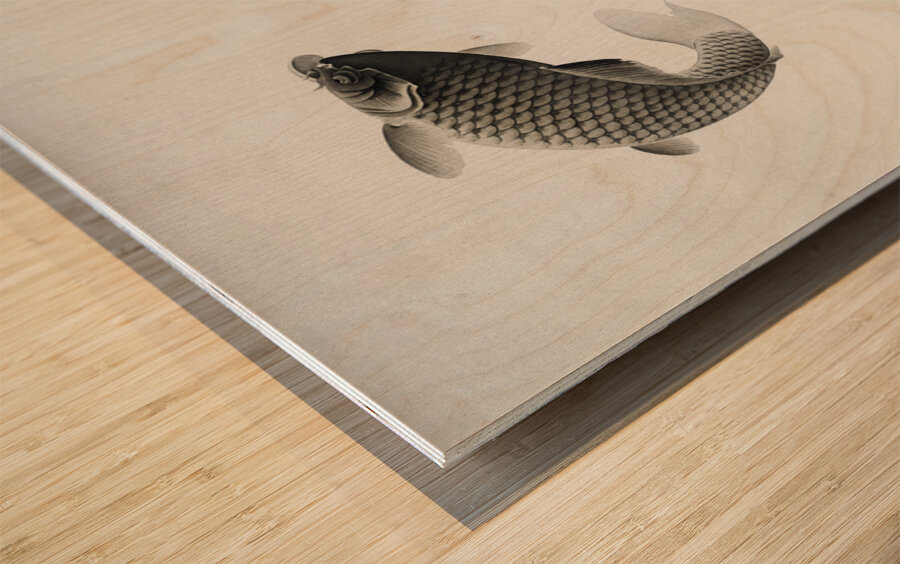 Three carps 1877-1945 by Ohara Koson 1877-1945. Impression sur bois