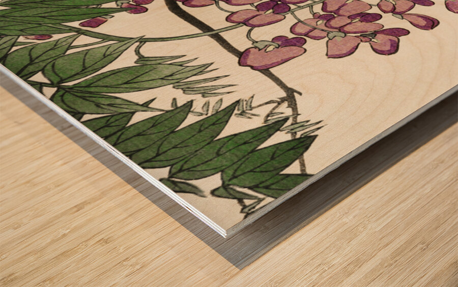 Blooming wisteria 1900 - 1930 by Ohara Koson1877-1945. Wood print