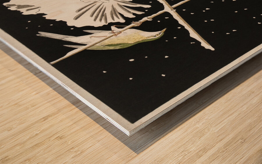 Siberian bluechat next to a peony 1925 - 1936 by Ohara Koson 1877-1945. Wood print