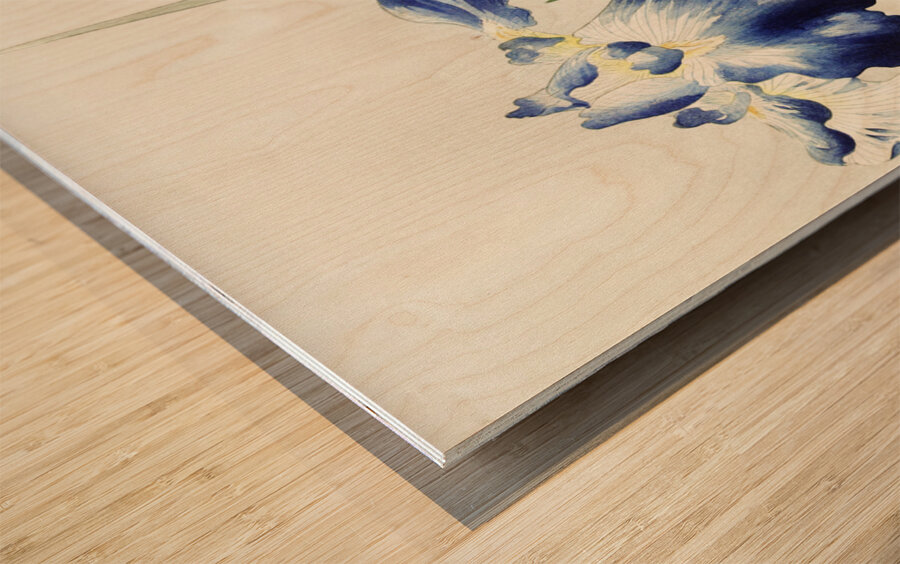 Irises 1900 - 1936 by Ohara Koson 1877-1945. Wood print