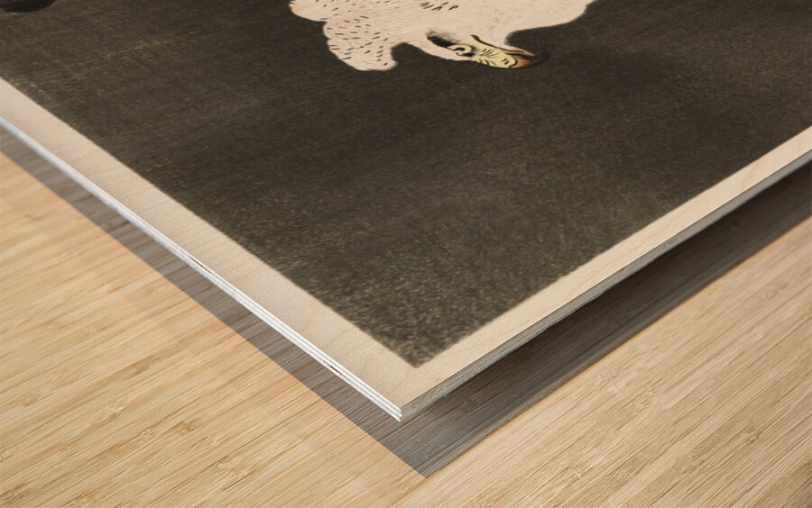 Snowy eagle on a tree branch 1910 - 1930 by Ohara Koson 1877-1945. Wood print