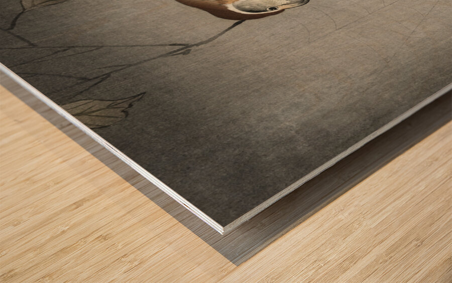 Buffalo wing shrike and spider 1900 - 1930 by Ohara Koson 1877-1945. Wood print