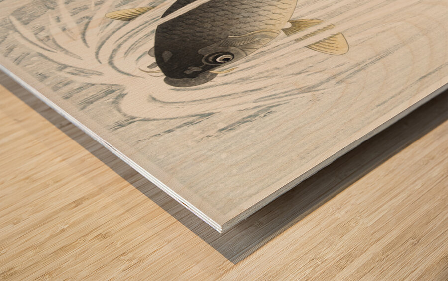 Carp 1935 by Ohara Koson 1877-1945. Wood print