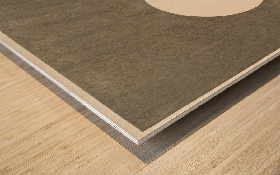 Blooming plum blossom at full moon 1900-1936 by Ohara Koson 1877-1945. Wood print