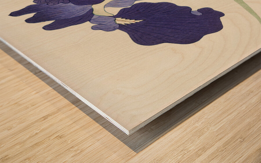 Waterhoots and iris 1925 - 1936 by Ohara Koson 1877-1945. Wood print