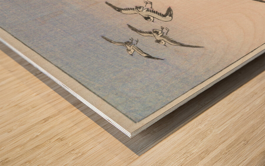 Five seagulls above the sea 1900 - 1945 by Ohara Koson 1877-1945. Wood print