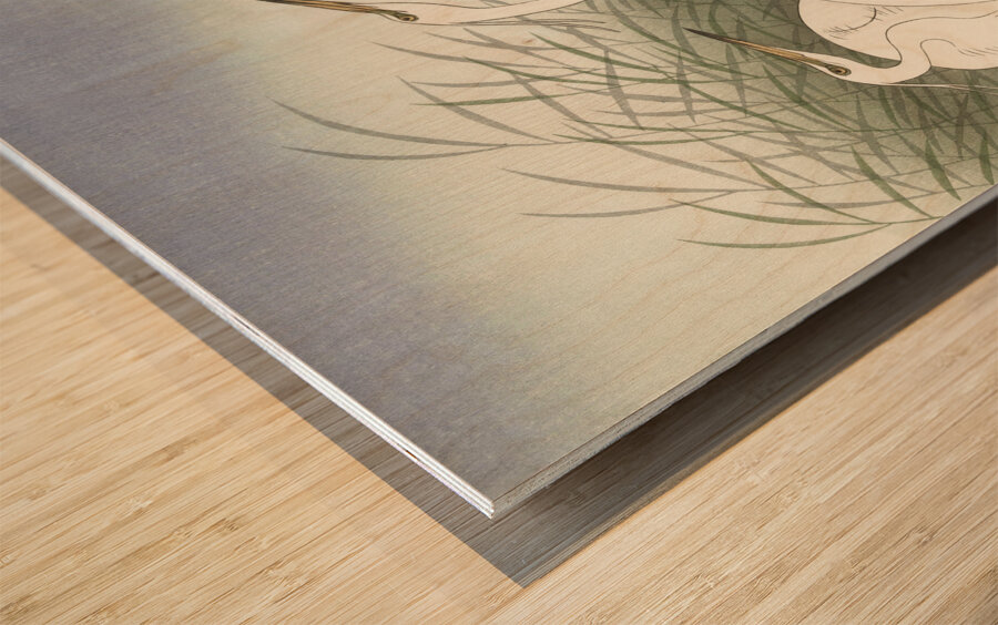 Praying mantis 1900 - 1936 by Ohara Koson 1877-1945. Wood print