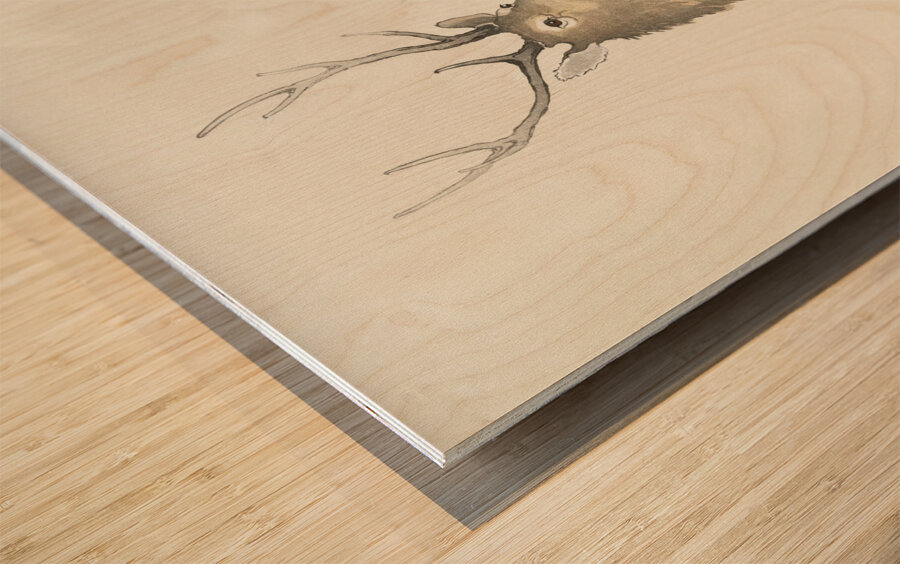 Couple of deers 1900 - 1930 by Ohara Koson 1877-1945. Wood print