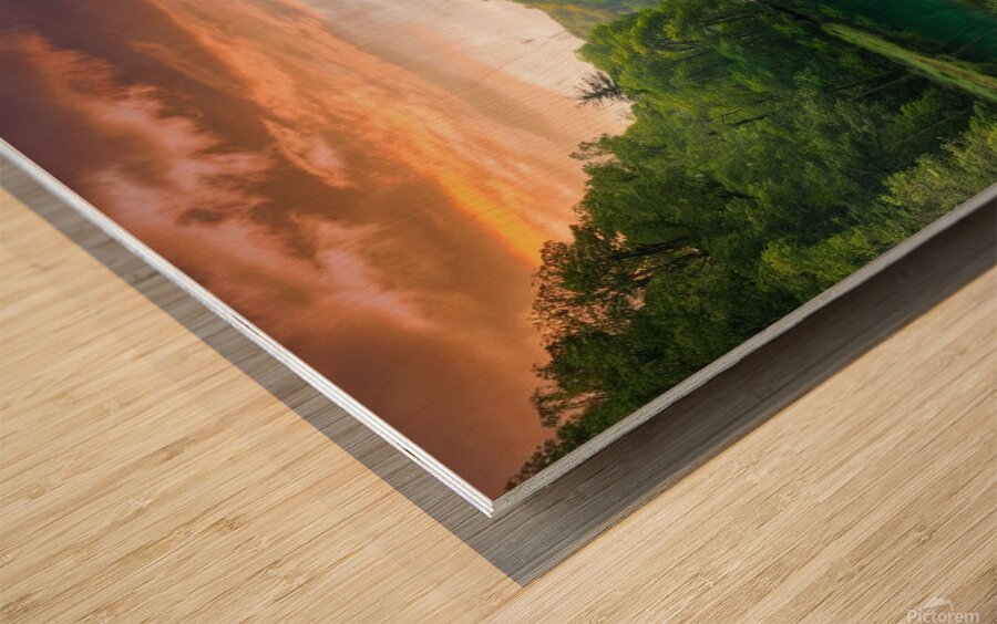 nature photo Wood print