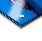 Lighted Cape Neddick Nubble Lighthouse During the Holidays in Maine Acrylic print