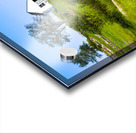 Wildflowers Garden by Burnt Island Lighthouse in Maine Acrylic print