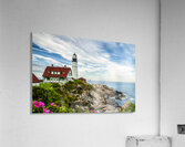 Beach Roses by Portland Head Lighthouse in Maine Acrylic Print