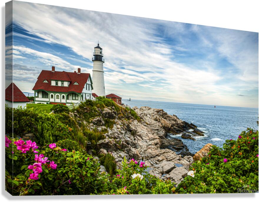 Beach Roses by Portland Head Lighthouse in Maine Canvas Print
