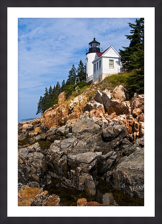  Fine Art print