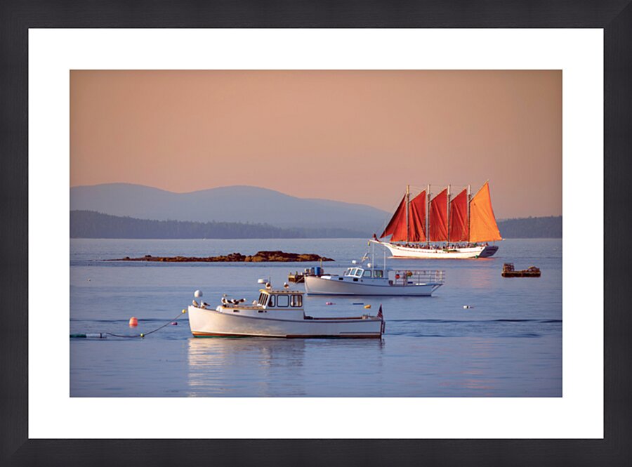  Fine Art print