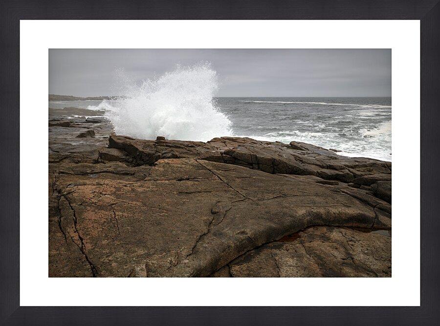  Fine Art print