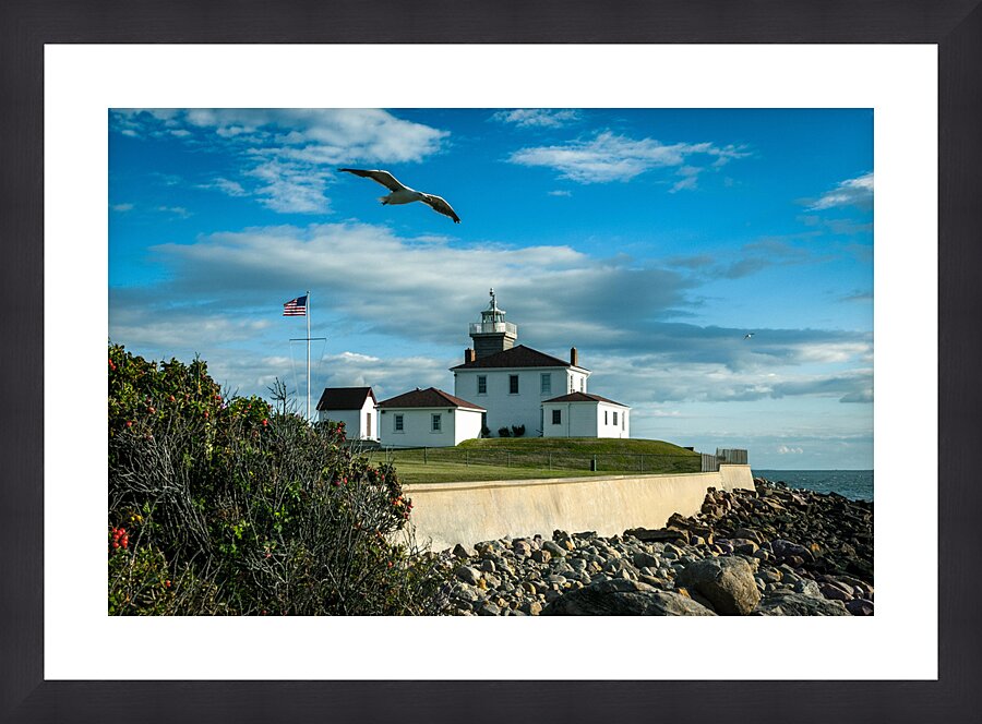  Fine Art print