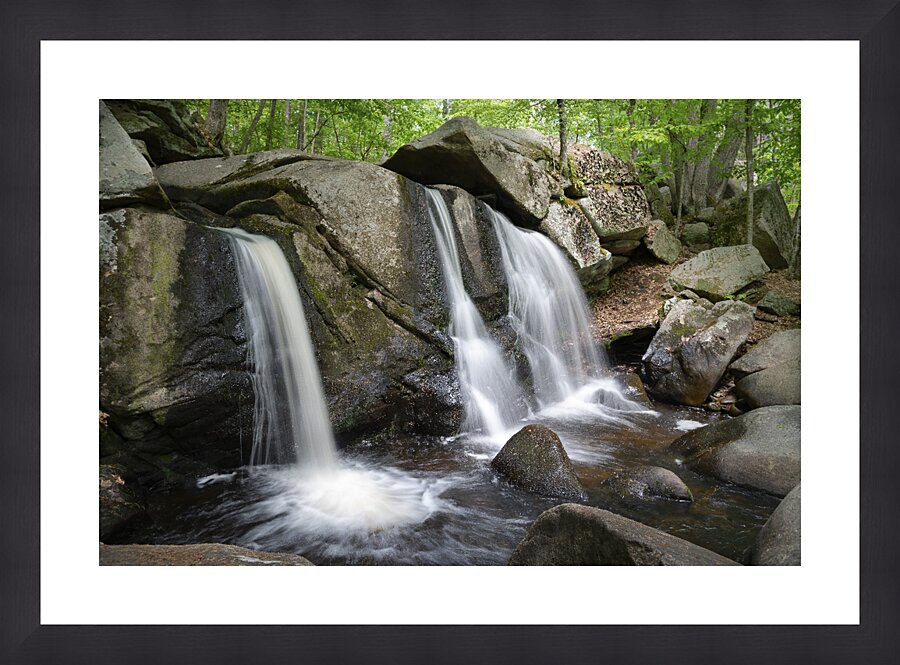  Fine Art print