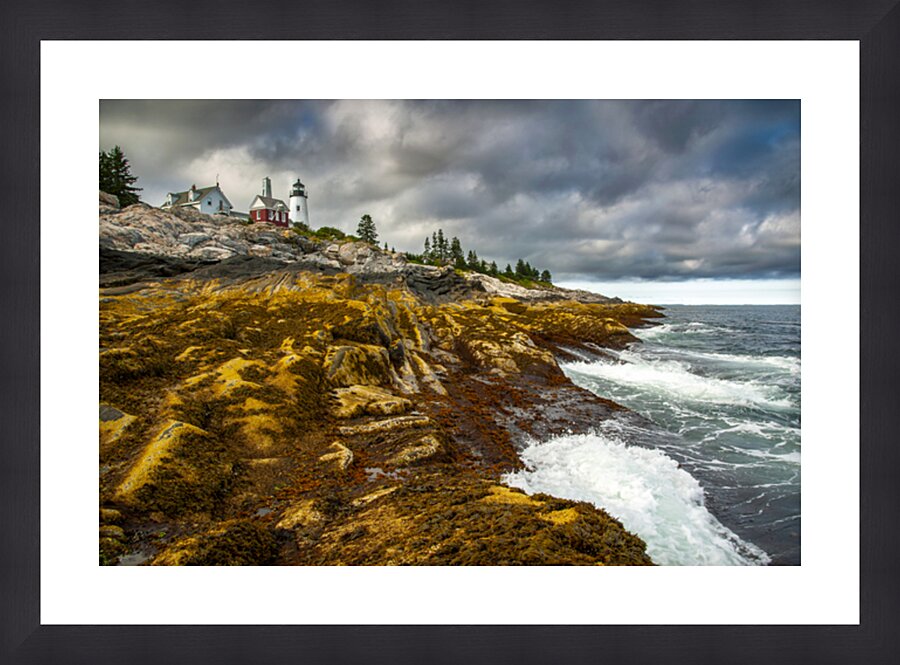  Fine Art print
