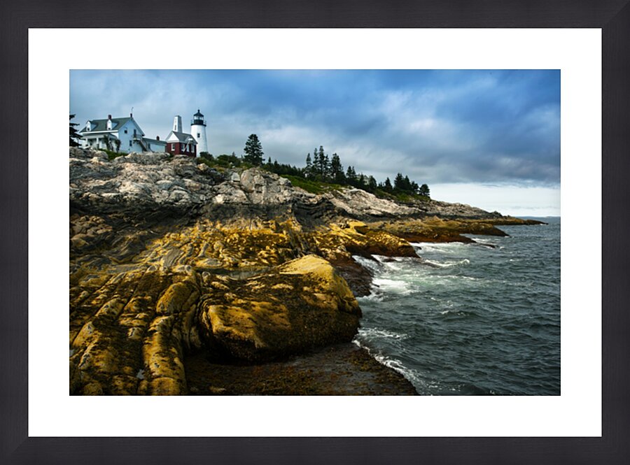  Fine Art print